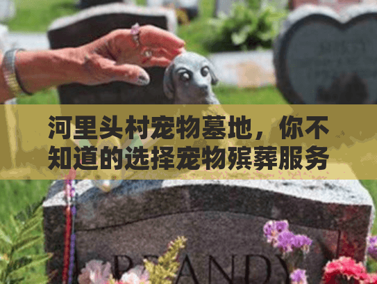 河里头村宠物墓地,你不知道的选择宠物殡葬服务隐藏风险? 河里头村宠物墓地,你不知道的选择宠物殡葬服务隐藏风险?