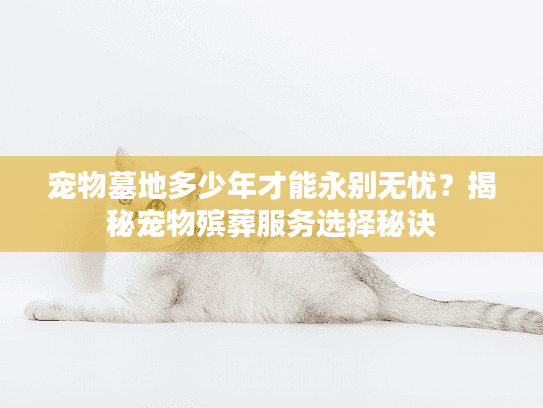 宠物墓地多少年才能永别无忧？揭秘宠物殡葬服务选择秘诀