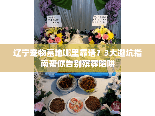 辽宁宠物墓地哪里靠谱？3大避坑指南帮你告别殡葬陷阱