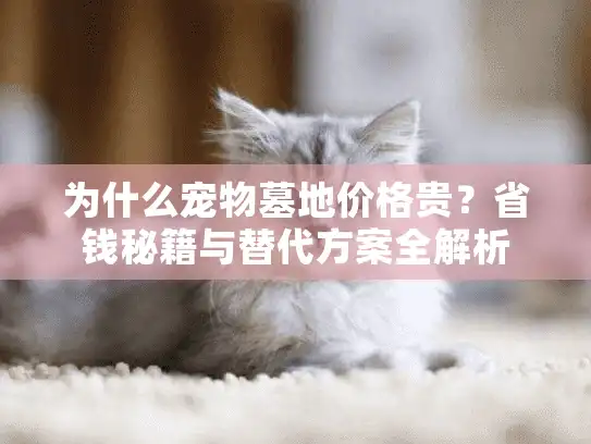 为什么宠物墓地价格贵?省钱秘籍与替代方案全解析 为什么宠物墓地价格贵?省钱秘籍与替代方案全解析