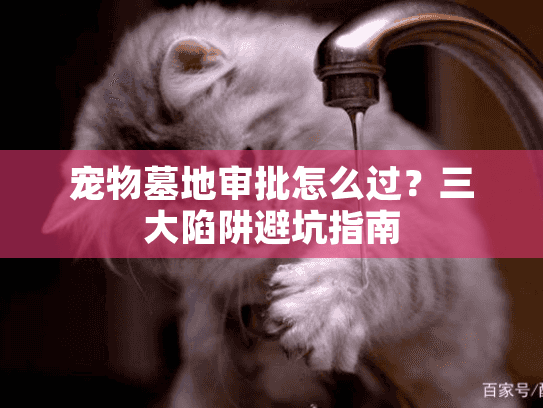 宠物墓地审批怎么过？三大陷阱避坑指南