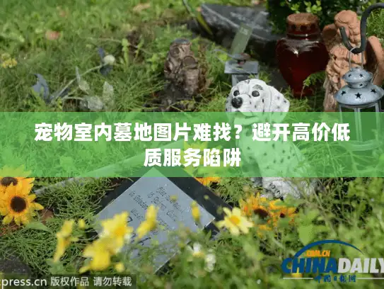 宠物室内墓地图片难找？避开高价低质服务陷阱