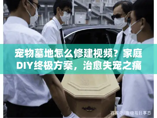 宠物墓地怎么修建视频？家庭DIY终极方案，治愈失宠之痛！