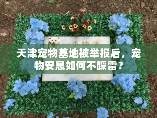 天津宠物墓地被举报后,宠物安息如何不踩雷? 天津宠物墓地被举报后,宠物安息如何不踩雷?