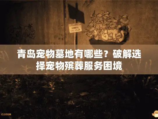 青岛宠物墓地有哪些?破解选择宠物殡葬服务困境 青岛宠物墓地有哪些?破解选择宠物殡葬服务困境
