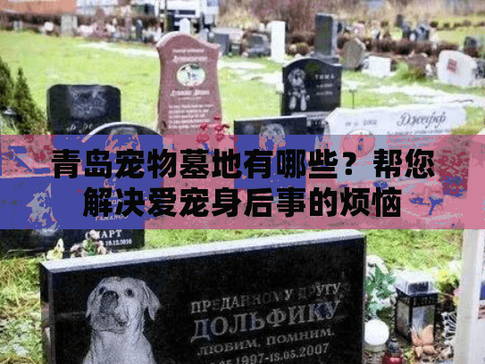 青岛宠物墓地有哪些？帮您解决爱宠身后事的烦恼