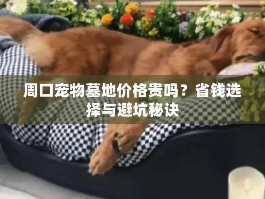 周口宠物墓地价格贵吗？省钱选择与避坑秘诀