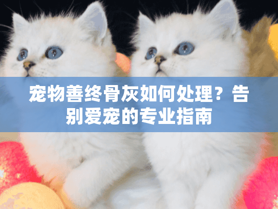 宠物善终骨灰如何处理？告别爱宠的专业指南