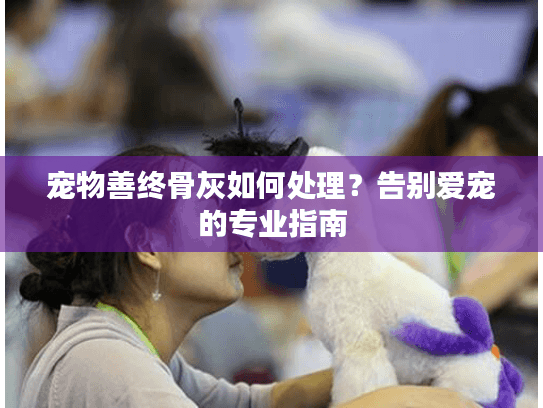 宠物善终骨灰如何处理？告别爱宠的专业指南