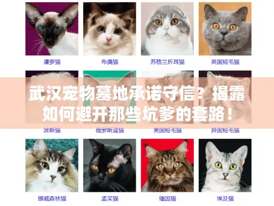 武汉宠物墓地承诺守信？揭露如何避开那些坑爹的套路！