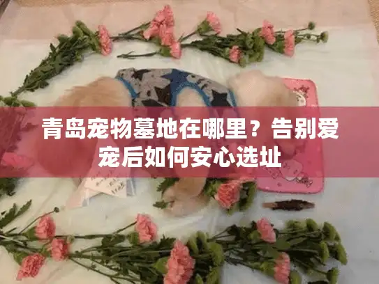 青岛宠物墓地在哪里?告别爱宠后如何安心选址 青岛宠物墓地在哪里?告别爱宠后如何安心选址