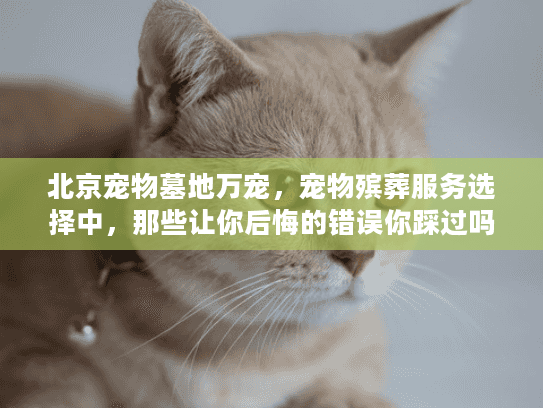 北京宠物墓地万宠，宠物殡葬服务选择中，那些让你后悔的错误你踩过吗？
