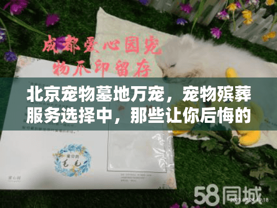 北京宠物墓地万宠，宠物殡葬服务选择中，那些让你后悔的错误你踩过吗？