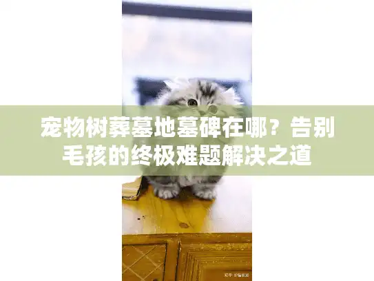 宠物树葬墓地墓碑在哪？告别毛孩的终极难题解决之道