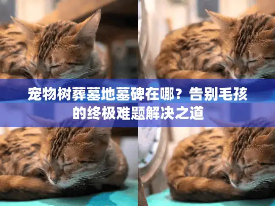 宠物树葬墓地墓碑在哪？告别毛孩的终极难题解决之道