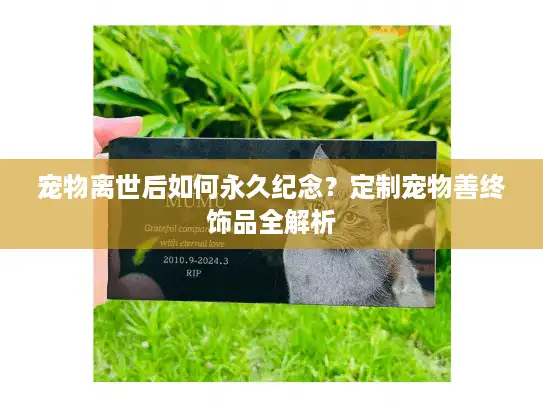 宠物离世后如何永久纪念?定制宠物善终饰品全解析 宠物离世后如何永久纪念?定制宠物善终饰品全解析