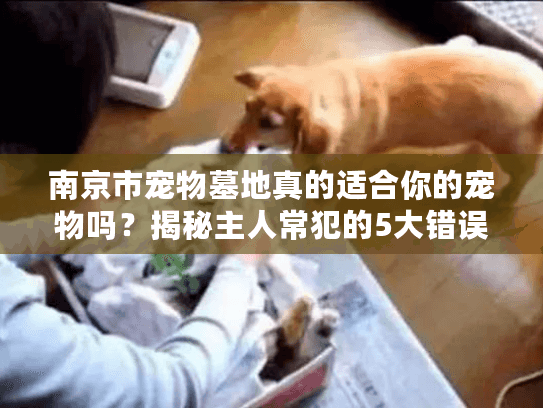南京市宠物墓地真的适合你的宠物吗？揭秘主人常犯的5大错误及避坑攻略