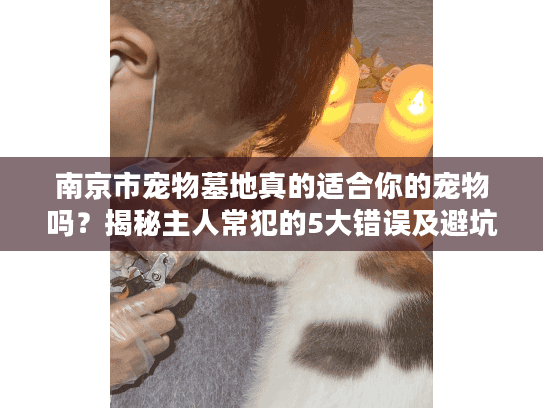 南京市宠物墓地真的适合你的宠物吗？揭秘主人常犯的5大错误及避坑攻略