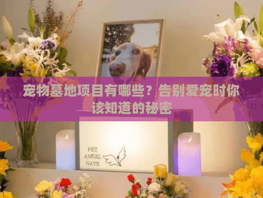 宠物墓地项目有哪些？告别爱宠时你该知道的秘密