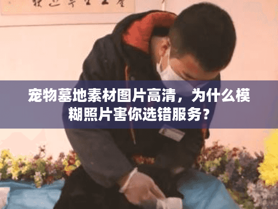 宠物墓地素材图片高清，为什么模糊照片害你选错服务？