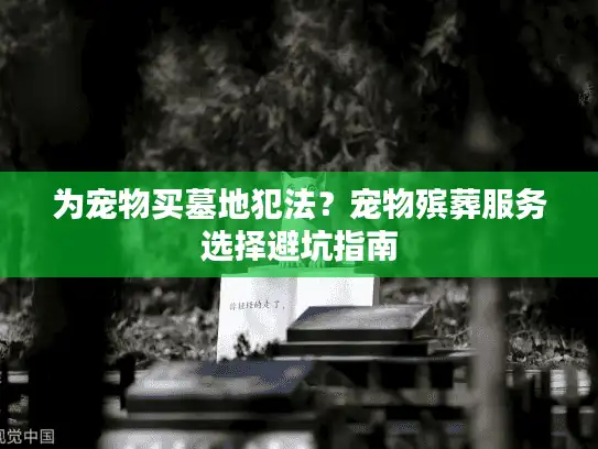 为宠物买墓地犯法?宠物殡葬服务选择避坑指南 为宠物买墓地犯法?宠物殡葬服务选择避坑指南