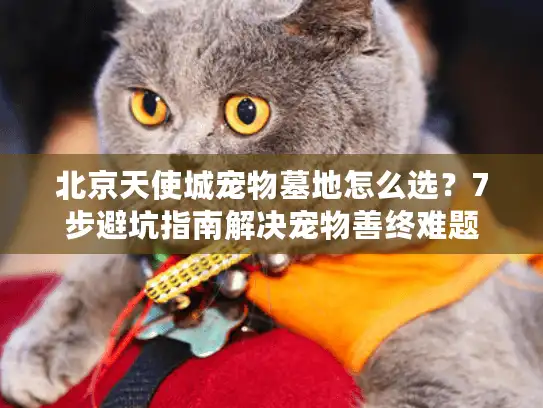 北京天使城宠物墓地怎么选?7步避坑指南解决宠物善终难题 北京天使城宠物墓地怎么选?7步避坑指南解决宠物善终难题