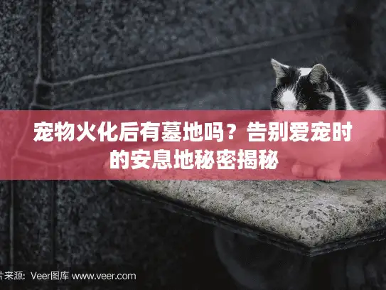 宠物火化后有墓地吗?告别爱宠时的安息地秘密揭秘 宠物火化后有墓地吗?告别爱宠时的安息地秘密揭秘