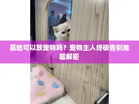 墓地可以放宠物吗？宠物主人终极告别难题解密