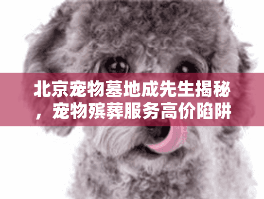 北京宠物墓地成先生揭秘，宠物殡葬服务高价陷阱如何破解？