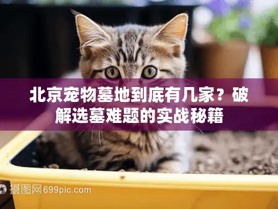 北京宠物墓地到底有几家？破解选墓难题的实战秘籍