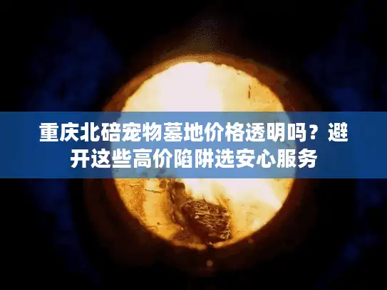 重庆北碚宠物墓地价格透明吗？避开这些高价陷阱选安心服务
