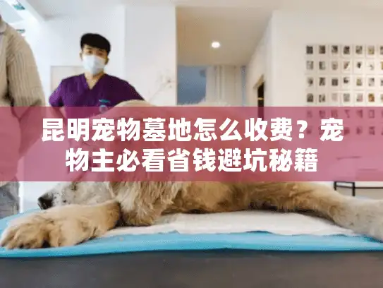 昆明宠物墓地怎么收费？宠物主必看省钱避坑秘籍