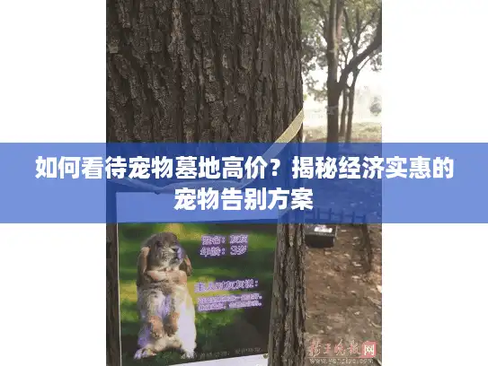 如何看待宠物墓地高价?揭秘经济实惠的宠物告别方案 如何看待宠物墓地高价?揭秘经济实惠的宠物告别方案