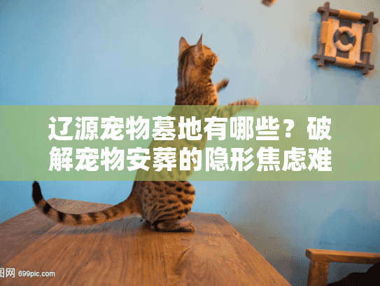 辽源宠物墓地有哪些?破解宠物安葬的隐形焦虑难题 辽源宠物墓地有哪些?破解宠物安葬的隐形焦虑难题