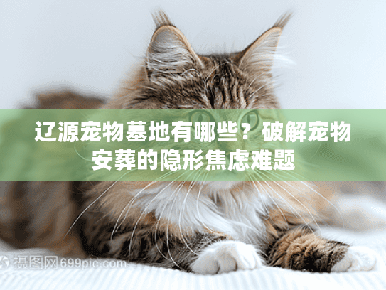 辽源宠物墓地有哪些?破解宠物安葬的隐形焦虑难题 辽源宠物墓地有哪些?破解宠物安葬的隐形焦虑难题