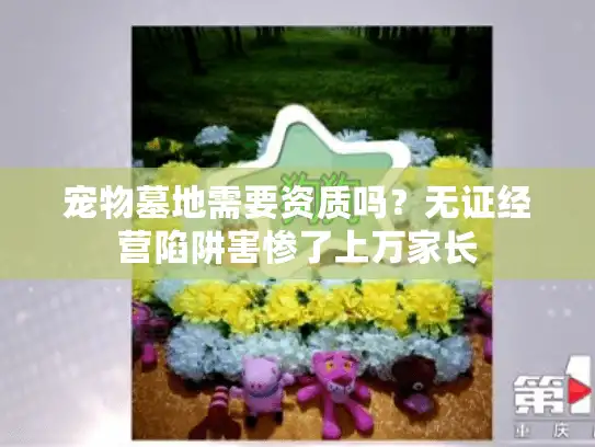 宠物墓地需要资质吗？无证经营陷阱害惨了上万家长