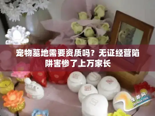 宠物墓地需要资质吗？无证经营陷阱害惨了上万家长