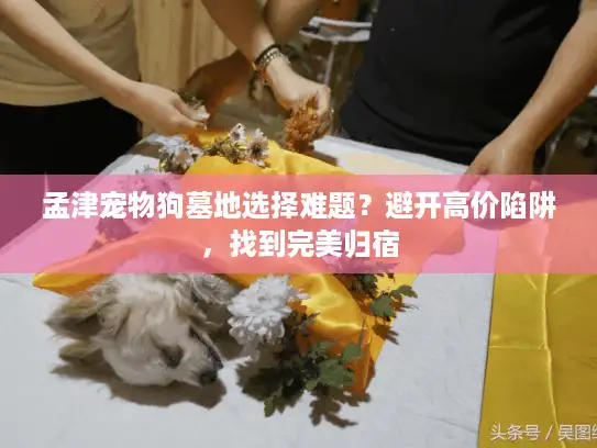 孟津宠物狗墓地选择难题？避开高价陷阱，找到完美归宿