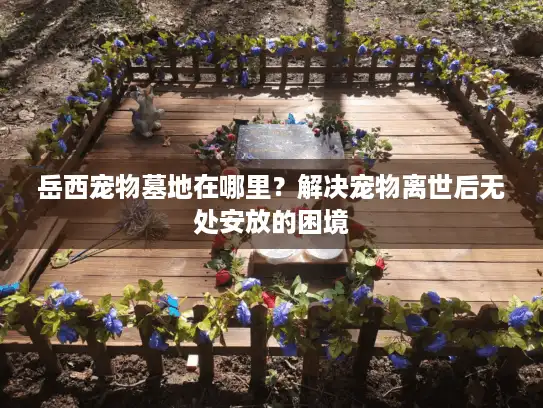 岳西宠物墓地在哪里？解决宠物离世后无处安放的困境