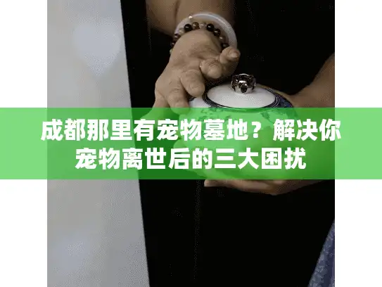 成都那里有宠物墓地？解决你宠物离世后的三大困扰