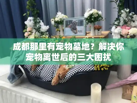 成都那里有宠物墓地？解决你宠物离世后的三大困扰