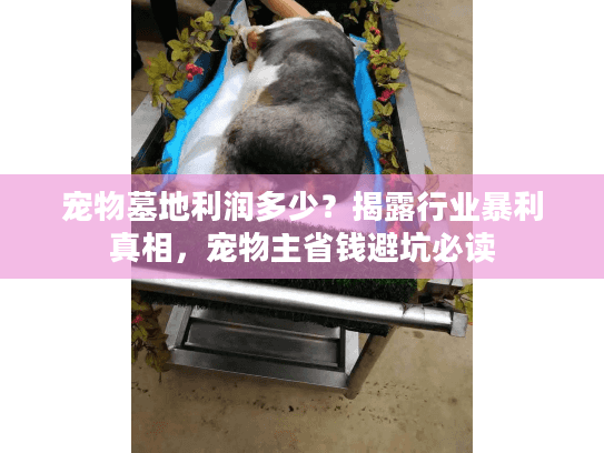 宠物墓地利润多少？揭露行业暴利真相，宠物主省钱避坑必读