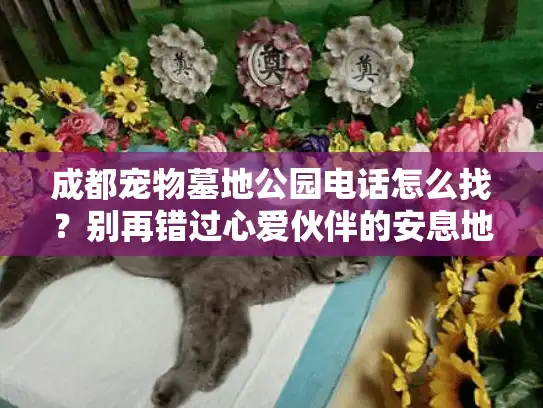 成都宠物墓地公园电话怎么找？别再错过心爱伙伴的安息地！