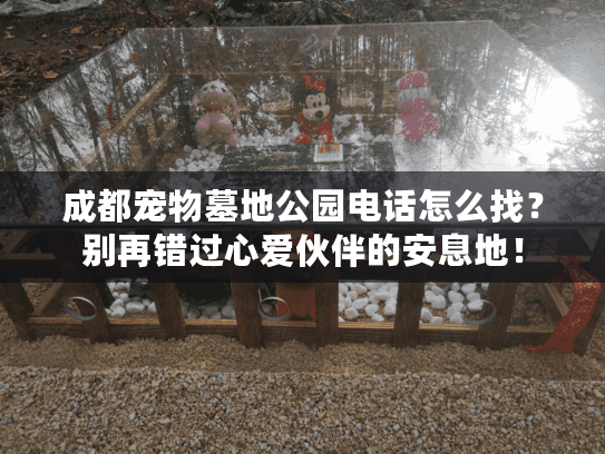 成都宠物墓地公园电话怎么找？别再错过心爱伙伴的安息地！