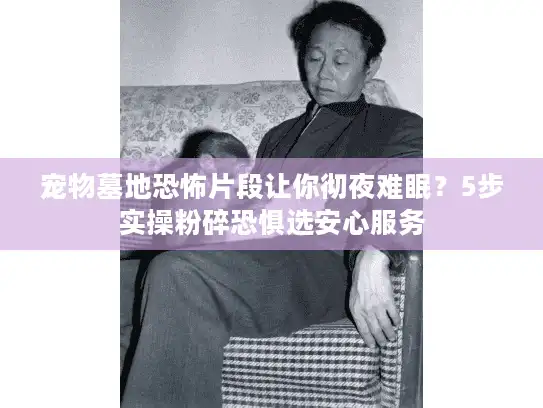 宠物墓地恐怖片段让你彻夜难眠？5步实操粉碎恐惧选安心服务