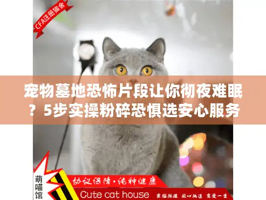 宠物墓地恐怖片段让你彻夜难眠？5步实操粉碎恐惧选安心服务