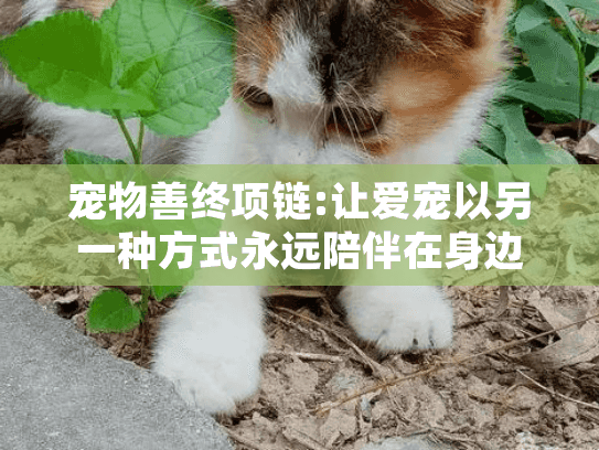 宠物善终项链:让爱宠以另一种方式永远陪伴在身边