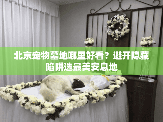 北京宠物墓地哪里好看?避开隐藏陷阱选最美安息地 北京宠物墓地哪里好看?避开隐藏陷阱选最美安息地