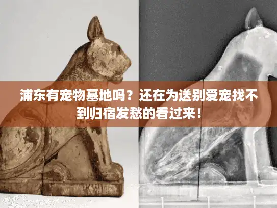 浦东有宠物墓地吗?还在为送别爱宠找不到归宿发愁的看过来! 浦东有宠物墓地吗?还在为送别爱宠找不到归宿发愁的看过来!