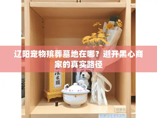 辽阳宠物殡葬墓地在哪？避开黑心商家的真实路径